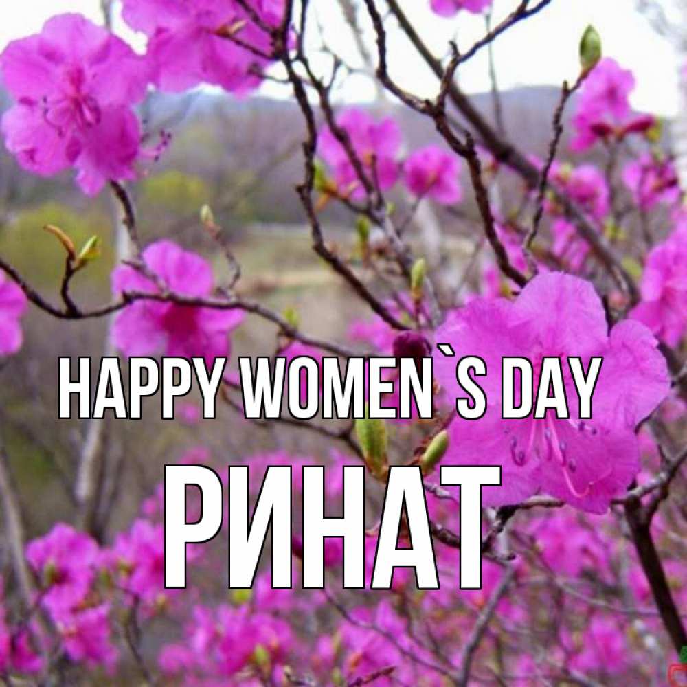 Greetings card с именем, Ринат happy women`s day международный женский день Greetings with text for free download 